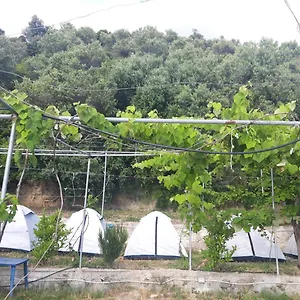  Luxuszelt Jungle In